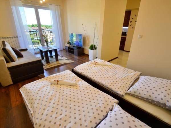 דירות זאטור Apartament Antonio מראה חיצוני תמונה